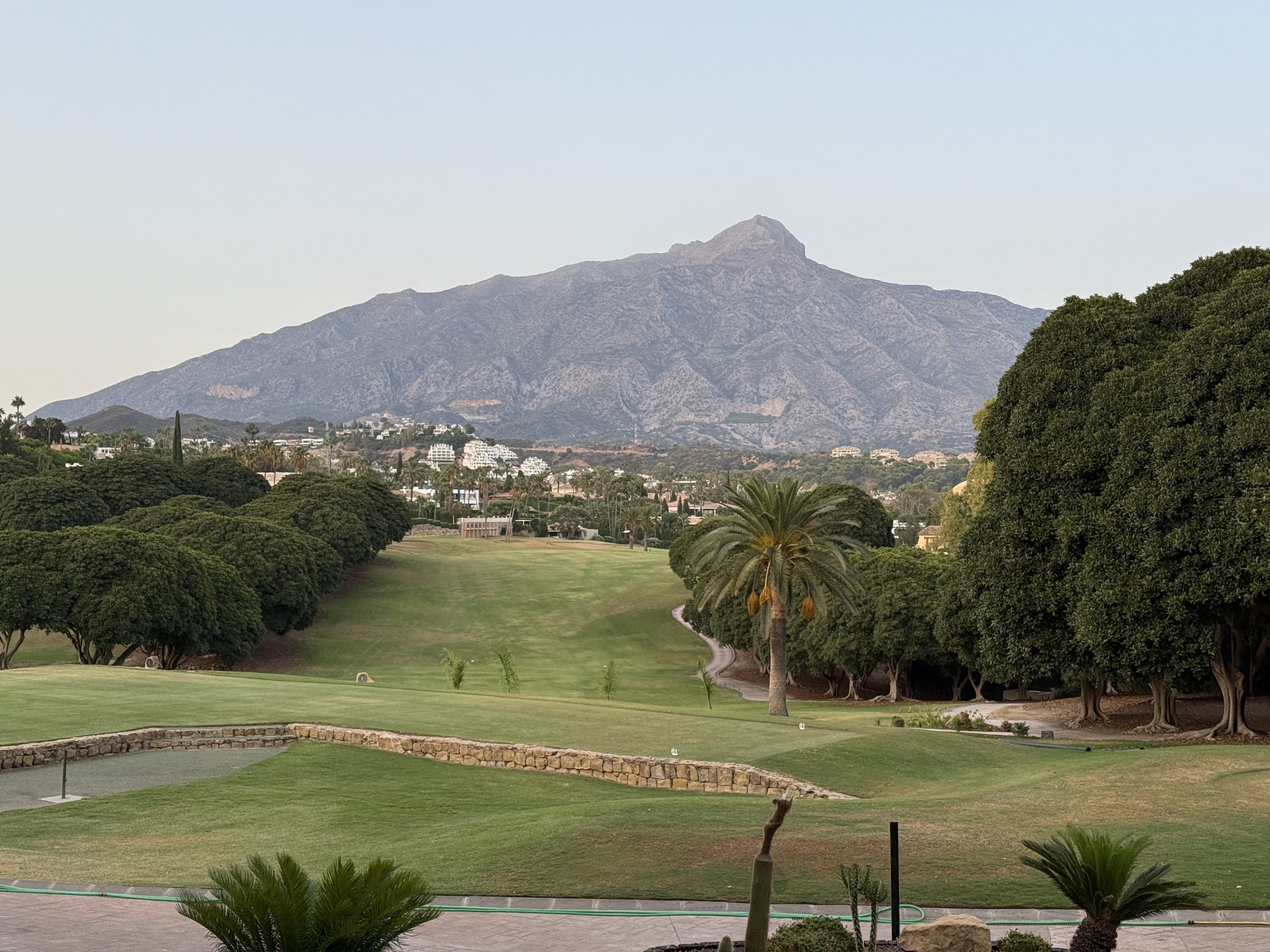 Los Naranjos & La Concha in Nueva Andalucia Marbella